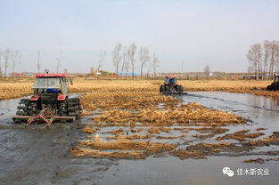 全省農(nóng)村人居環(huán)境整治暨春耕生產(chǎn)現(xiàn)場推進會議召開，聚焦稻谷生產(chǎn)助力鄉(xiāng)村振興